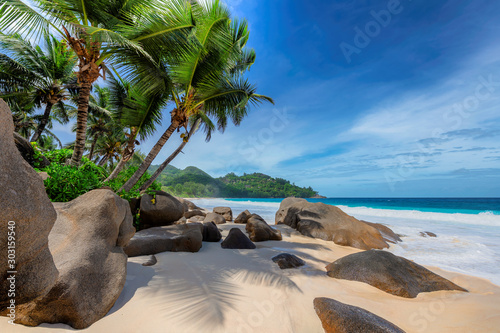 Tropical exotic beach and coconut palms 