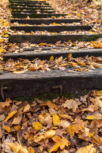 schody jesień zbocze jar spacer