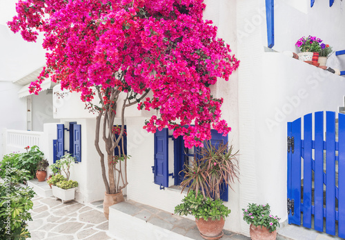 Traditional greek house with flowers in Paros island, Cyclades, Greece 