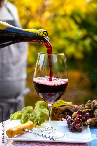 Pouring yound red beaujolais wine in glass during celebration of end of harvest and first sale release on third Thursday of November in Burgundy, France
