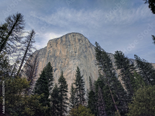 Yosemite landscape