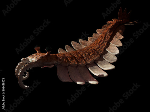 Anomalocaris, creature of the Cambrian period, isolated on black background