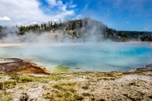 Geyser in Yellowstone National Park. USA. Wyoming