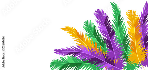 Card with feathers in Mardi Gras colors.