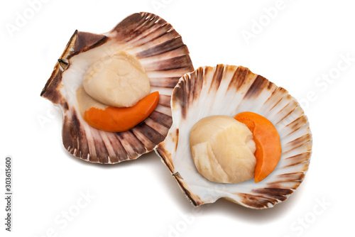 Mediterranean scallop