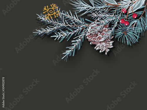 Snow-covered blue Christmas tree branch with a cone on a black background.