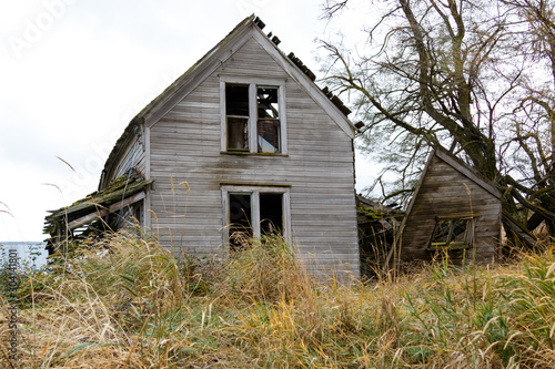 Old, abandoned farm house with overgrowth