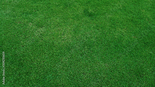 Top view of green grass field