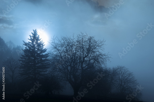 Mystische Szene im Mondschein, Mitternacht Hintergrund mit Winterbäumen
