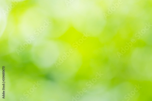 Natural green blurred background