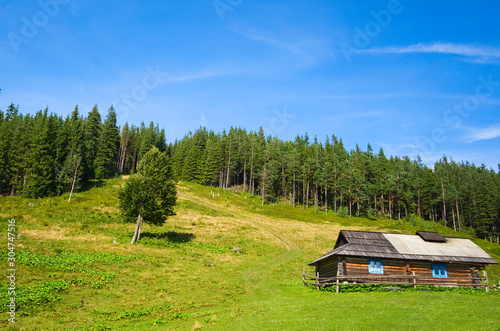 Wooden shepherd house in a mountains. Traditional small hut in Carpathian mountains on green meadow called Polonyna or montane meadow. Traditional rural landscape in mountains. Carpathians, Ukraine.