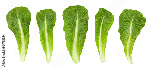 romain lettuce