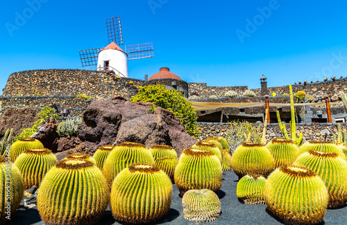 Travel concept. Amazing view of tropical cactus garden (Jardin de Cactus) in Guatiza village. Location: Lanzarote, Canary Islands, Spain. Artistic picture. Beauty world.