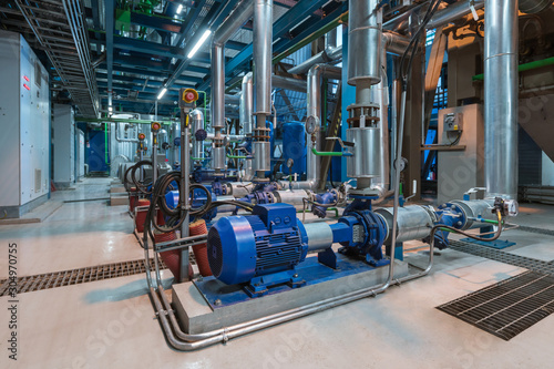 Pumps in a cogeneration station