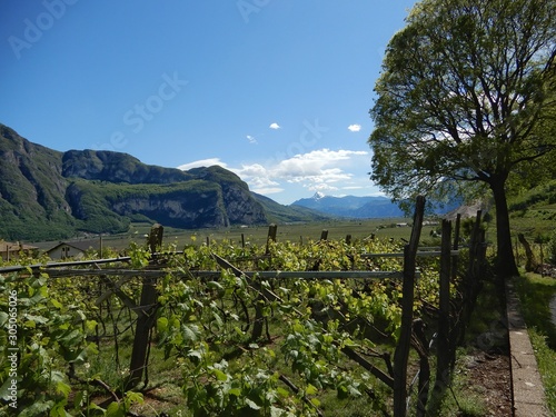 Panorama lago lamar dolomiti italiane forte larino altopiano pinè lago piazze vigne vendemmia