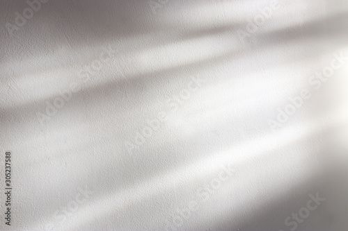 background of organic shadow over white textured wall