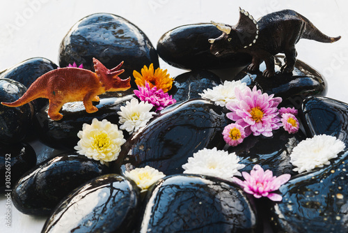 Wet black stones with chrysanthemum buds and small toy dinosaurs, decor for spa, relaxation and massage