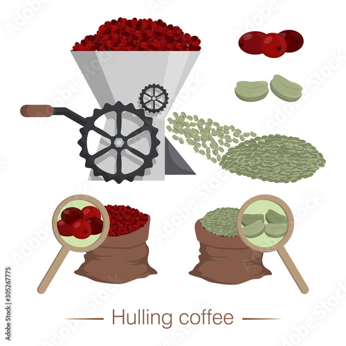 Hulling coffee. Agregat for peeling coffee beans from the pulp