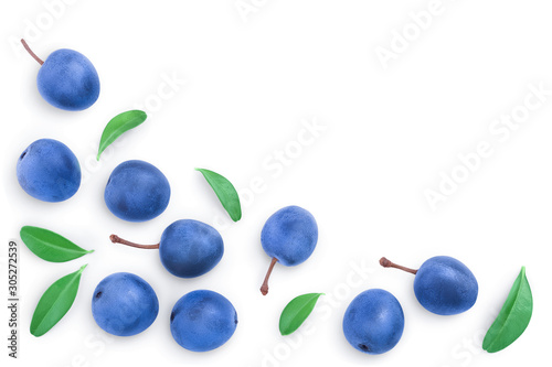 Blackthorn or Sloe berries with leaves isolated on white background with copy space for your text. Top view. Flat lay