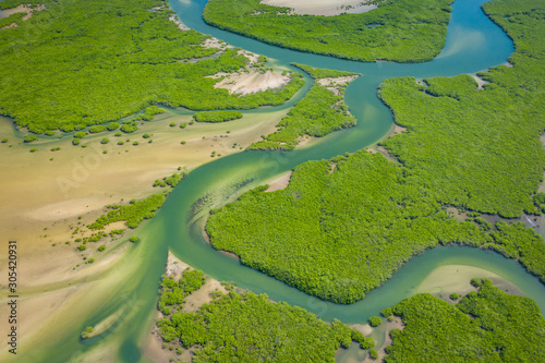 Aerial view of mangrove forest in the Saloum Delta National Park, Joal Fadiout, Senegal. Photo made by drone from above. Africa Natural Landscape.