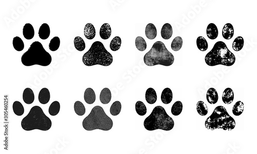 Paw Prints Set, Hand Drawn Sketch