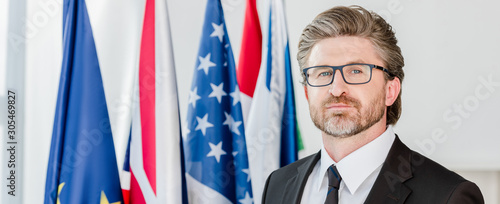 panoramic shot of handsome diplomat in glasses looking at camera near flags