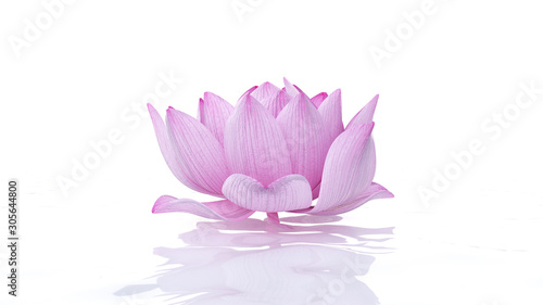 3d rendered spa illustration - lotus flower