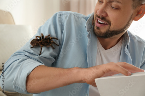 Scared man with tarantula at home, closeup. Arachnophobia (fear of spiders)
