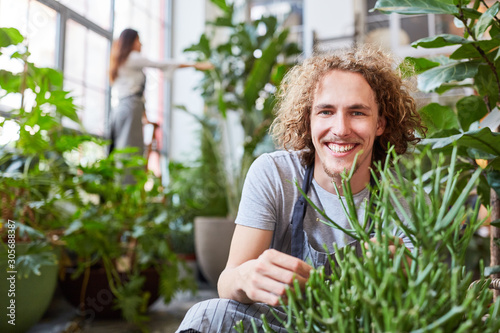 Lächelnder Florist bei der Pflege von Zimmerpflanzen