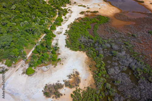 Aerial view of national reserve in south of Gambia, West Africa. Photo made by drone from above.