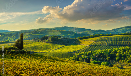 Panzano in Chianti vineyard and panorama at sunset. Tuscany, Italy