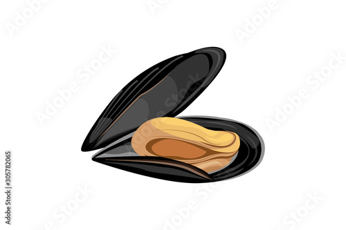 mussel in open shell on white background. Sea delicacy