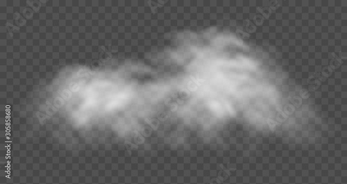Fog or smoke cloud isolated on transparent background. Realistic smog, haze, mist or cloudiness effect. Realistic vector illustration.