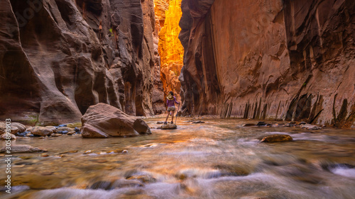 Amazing landscape of canyon in Zion National Park, The Narrow