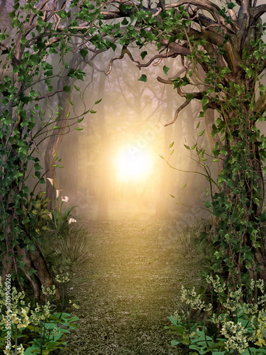 Path through enchanting fairytale deep forest view with beautiful heavenly sunset