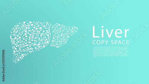 Abstract image of a human liver in the form of a dots, Illustration vector. 