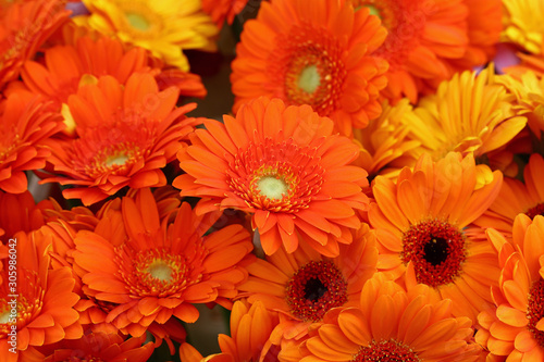 Orange gerber daisy flowers bouquete