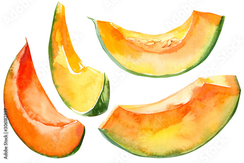 pumpkin slices vegetables on isolated white background, watercolor illustration