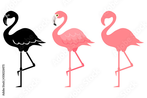 Flamingo, pink flamingo silhouette. Cartoon illustration of a flamingo. Vector illustration.