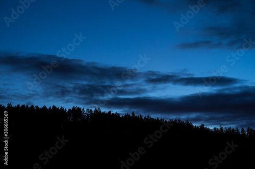 Germany, Blue night sky over beautiful black forest tree top silhouette with stars shining in summer night
