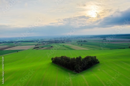 Zagajnik Miłości przy zachodzącym słońcu 