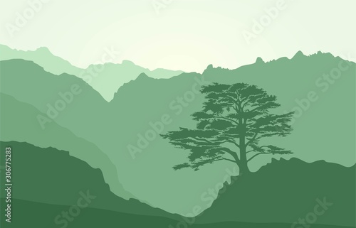 Mountains landscape with rocks and lebanese cedar.