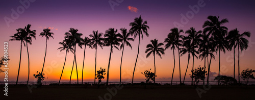 tropical sunrise with palm trees at dawn in the town of Kapaa, Kauai, Hawaii