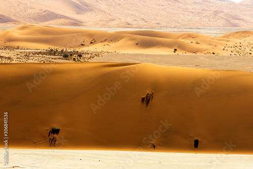 Beautiful landscape of orange sand dune desert at Namib desert in Namib-Naukluft national park Sossusvlei in Namibia.