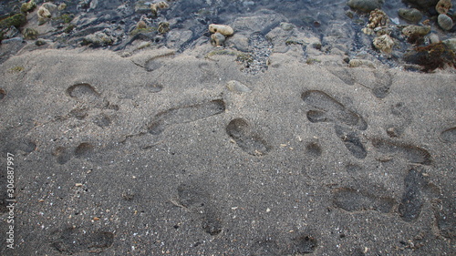 footprints of people walking on the beach