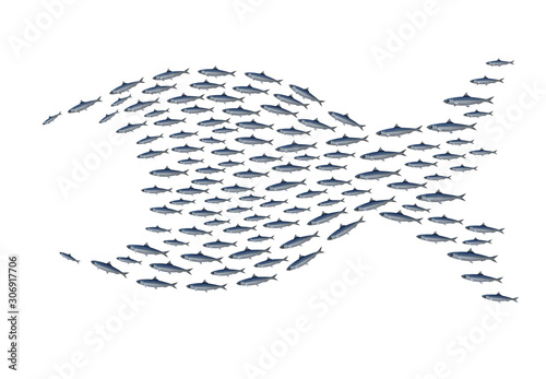 Sardines group become big fish