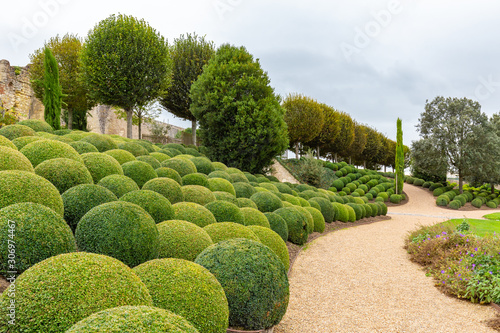 Beatuiful Landscaped garden with boxwood balls near Chateau d'Amboise in Loire valley in France