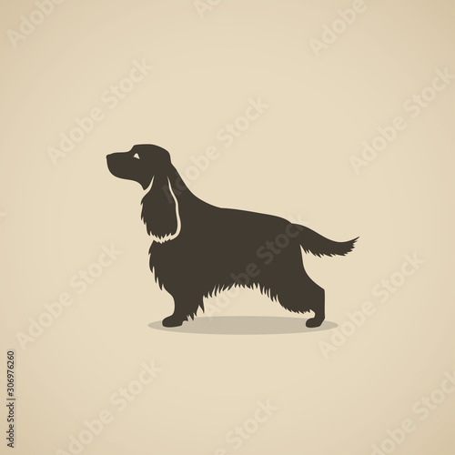 English Cocker Spaniel dog - vector illustration