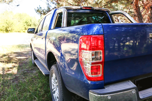 Modern pickup truck in countryside