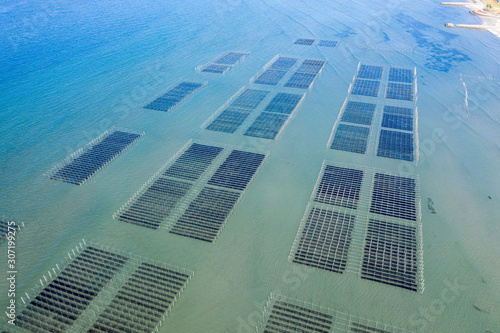 Aerial view of seaweed farming in Asia